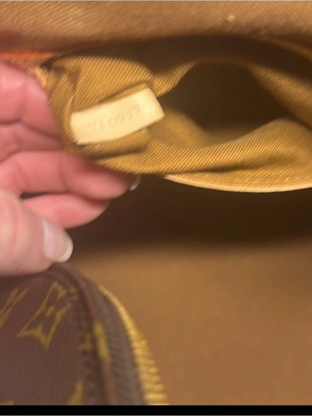 Louis Vuitton classic louis